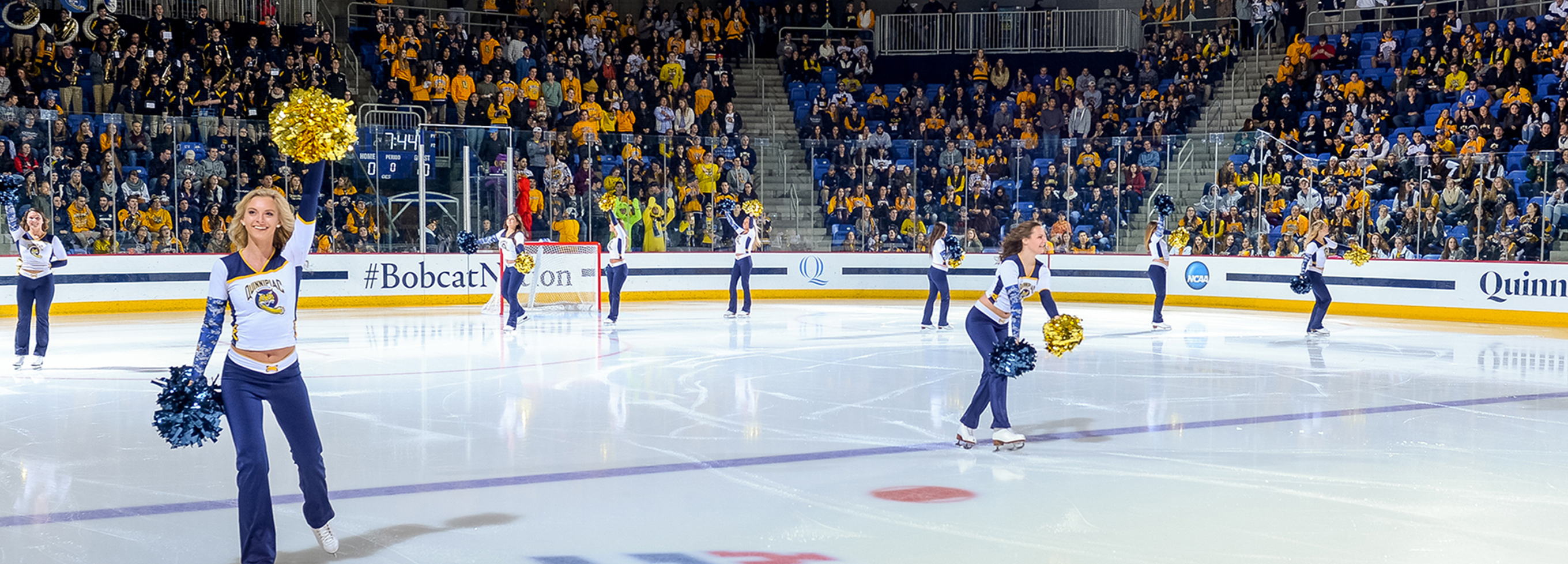 Header Hero Image Quinnipiac144